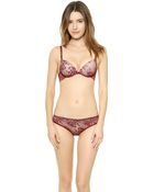Stella McCartney Stella Lace Contour Plunge Bra - Burgundy/Peony - Lyst