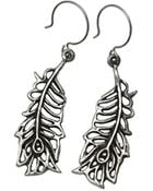 Femme Metale Jewelry Fancy Feathers Earring - Lyst