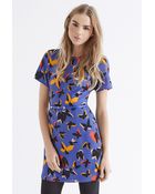 Oasis Pop Art Butterfly A Line Shift - Lyst
