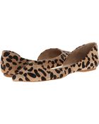 Steve Madden Elusion L - Lyst