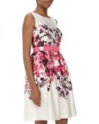 Chetta B Belted Floral-Print Sateen Dress - Lyst