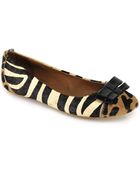 Jeffrey Campbell Kammie - Leopard Ballet Flat - Lyst
