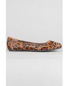 Senso Diffusion The Evita Flat in Brown Leopard - Lyst