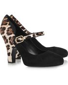 Dolce & Gabbana Suede and Leopard-print Calf Hair Pumps - Lyst