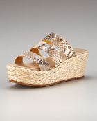 Bettye Muller Python Wedge Slide - Lyst