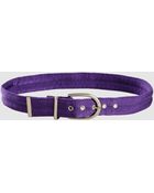 Pinko Belt - Lyst