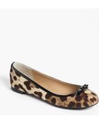 Dolce & Gabbana Leopard Print Ballet Flat - Lyst