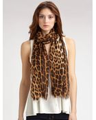 Roberto Cavalli Leopard Print Scarf - Lyst