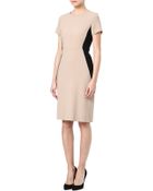 Max Mara Studio Monique Bodycon Twotone Dress - Lyst