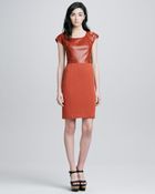 Rachel Zoe Scarlett Sheath Dress - Lyst