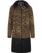 Class Roberto Cavalli Fur Collar Leopard Print Coat - Lyst