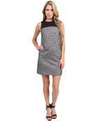 4.collective Leopard Jacquard Dress - Lyst