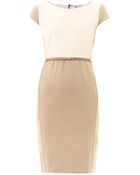Max Mara Guelfi Dress - Lyst