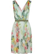 Matthew Williamson Cactus Garden Printed Silk-Chiffon Dress - Lyst