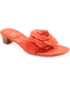 Stuart Weitzman Rosen Rose Suede Sandals - Lyst