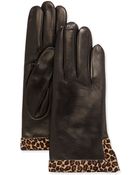 Portolano Leather Calf Hair Glove - Lyst