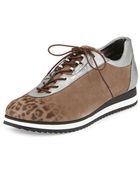 Stuart Weitzman Relay Leopard-print Sneaker - Lyst