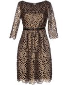 Hoss Intropia Kneelength Dress - Lyst