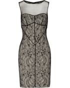 Halston Heritage Lace And Tulle Dress - Lyst
