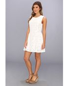 Mink Pink Sister Saviour Lace Dress - Lyst
