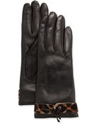 Portolano Leather Calf Hair Glove - Lyst
