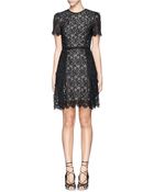 Erdem 'Aubrey' Floral Lace Dress - Lyst