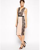 Asos Lace Paneled Body-Conscious Dress - Lyst