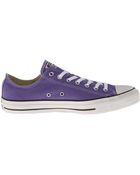 Converse Chuck Taylor All Star Seasonal Ox - Lyst