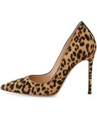 Gianvito Rossi Leopard-Print Calf Hair Pump - Lyst