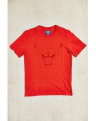 Adidas Originals Nba Chicago Bulls Logo Tee - Lyst