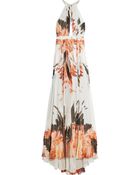 Roberto Cavalli Printed Silk-Chiffon Gown - Lyst