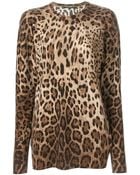 Dolce & Gabbana Leopard Print Sweater - Lyst