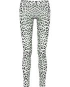 Just Cavalli Leopard-Print Stretch Leggings - Lyst