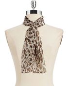 Calvin Klein Leopard Print Chiffon Scarf - Lyst
