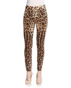 Dolce & Gabbana Jaguar Print Zip-Cuff Pants - Lyst
