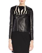 Saint Laurent Zebra-Collar Moto Jacket - Lyst
