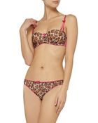 Mimi Holliday By Damaris Cheeky Minx Leopard-Print Padded Bra - Lyst