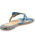 Sesto Meucci Ilene Snake-Print Sandal - Lyst