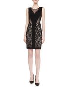 Laundry By Shelli Segal Mesh Lace Illusion Dress - Lyst
