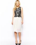Oasis Pleated Lace Dress - Lyst