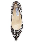 Jimmy Choo Aza Lowheel Leopardprint Calf Hair Pump - Lyst