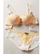 Elle Macpherson Serie Bra - Lyst