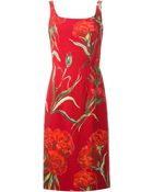 Dolce & Gabbana Carnations Print Dress - Lyst