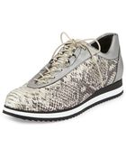 Stuart Weitzman Relay Python-print Sneaker - Lyst
