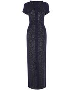 Coast Melanie Maxi Dress - Lyst