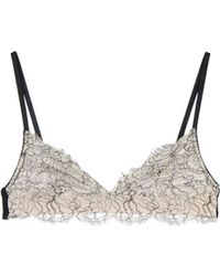 Antonio Berardi Bra - Lyst