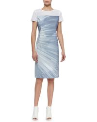 Elie Tahari Cassie Printed Sheath Dress W/ Mesh - Lyst