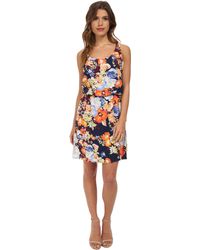 Splendid Spring Blooms Dress - Lyst