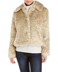 Eliza J Faux Fur Leopard Print Jacket - Lyst