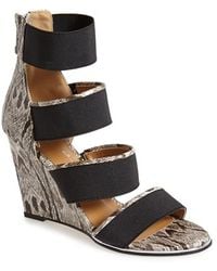 Women's Report Shoes